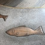 fish_fl_closeup