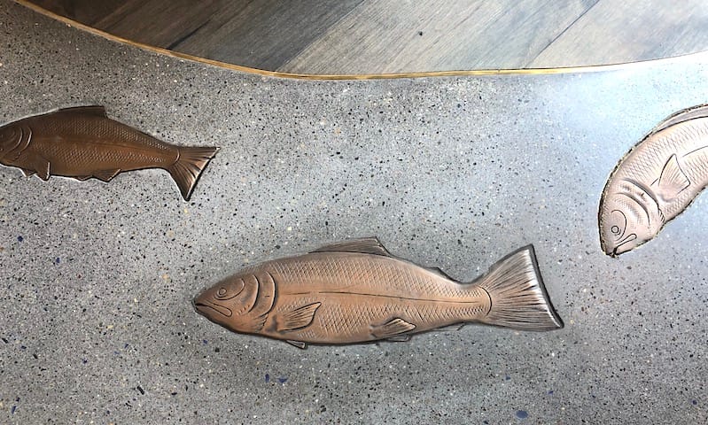 fish_fl_closeup