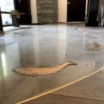 fish_fl_closeup
