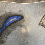 fish_fl_closeup