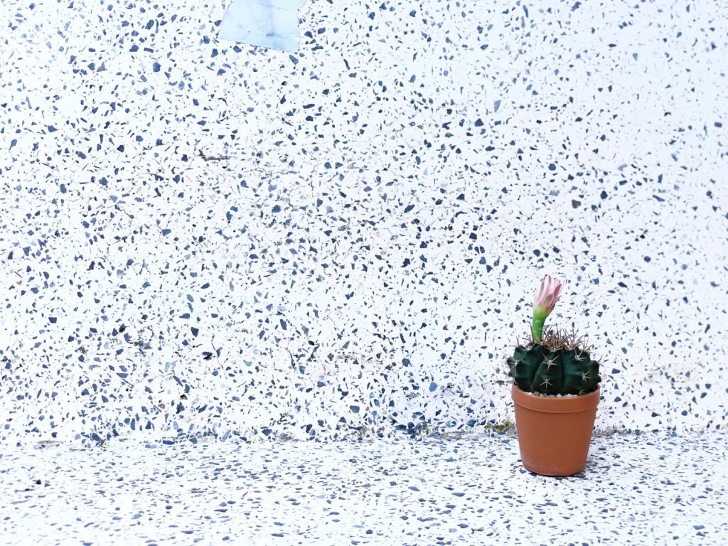 Maximizing Elegance with White Terrazzo Countertops