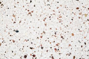 Terrazzo Floor
