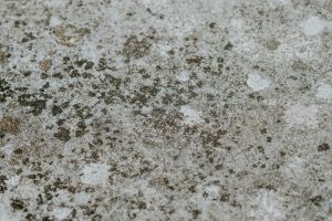 Concrete Floor Bubbling
